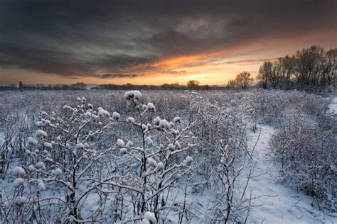 Early Morning Winter Scenic Stock Image Image Of Country Dramatic