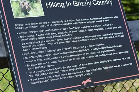 Grizzly Boo Entertains And Educates At Kicking Horse Mountain Resort