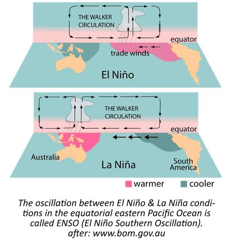 Diferencias Y Semejanzas Entre El Fenómeno De El Niño Y La Niña My