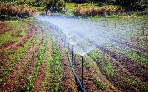 Ozonated Water For Irrigation Of Different Produce Treatments