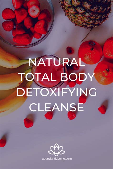 V Tox Natural Body Detoxifying Cleanse Detoxify Cleanse Full Body