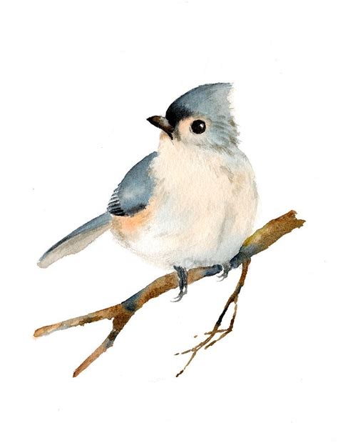 The Tufted Titmouse Watercolor Painting Art Print From Etsy