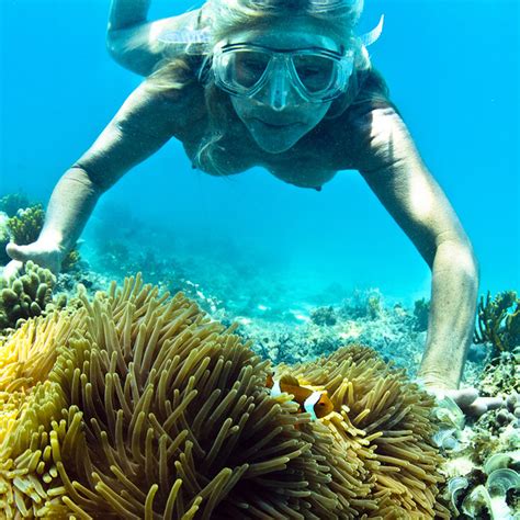 Upolu Reef Free Diving Flickr Photo Sharing
