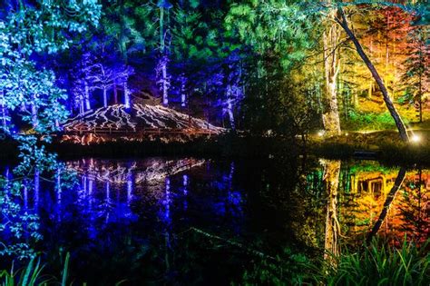 Christmas Enchanted Forest Scotland 2021 Best Christmas Tree 2021
