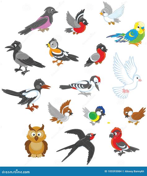 Set Of Birds Stock Vector Illustration Of Pecker Blue 105593084