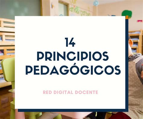 14 Principios PedagÓgicos Nuevo Modelo Educativo Imagenes Educativas