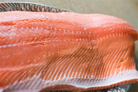Fas King Salmon Fillet Gemini Fish Market