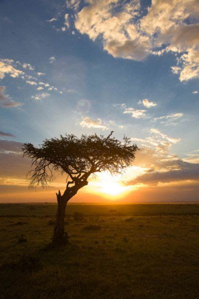 Sunset Over The Maasai Mara Game Reserve Game Reserve Sunrise Sunset