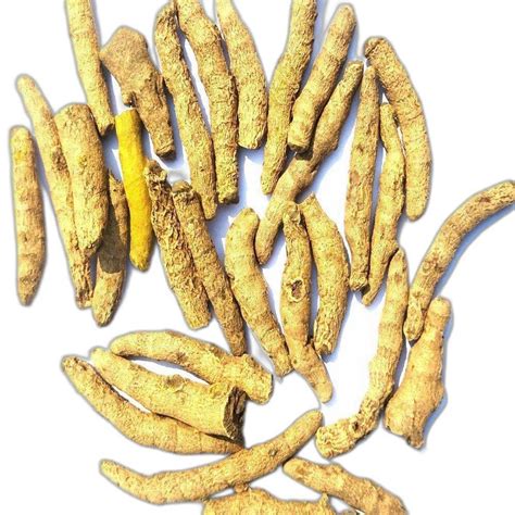 Indian Organic Dried Turmeric Fingers At Rs Kg In Berhampur Id