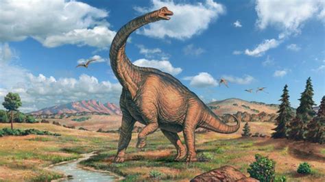 Fossil Of First Giant Dinosaur Discovered In Argentina Bbc News