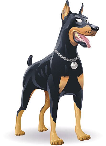 Doberman Pinscher Illustrations Royalty Free Vector Graphics And Clip
