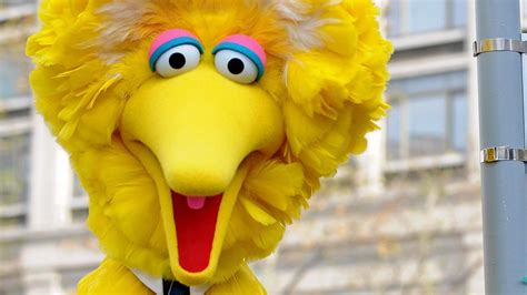 Big Bird Sesame Street Fans Only Just Discover The Characters
