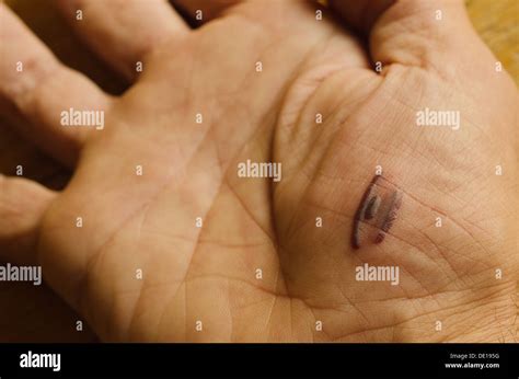 Tissues In A Hand Close Up Hi Res Stock Photography And Images Alamy