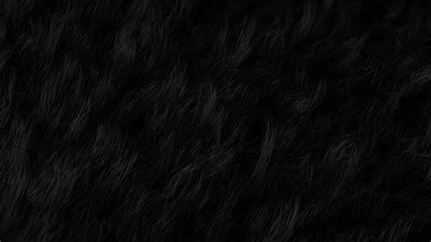 Black Hair Texture Wallpaper 42271 Baltana