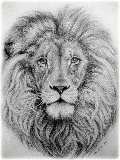 Lions Head By Paradizelily On Deviantart