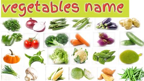 Vegetable Names With Pictures Different Types Of Vegetables Healthy