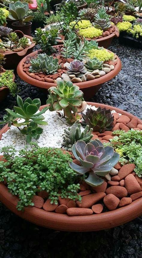Stylish 20 Easy And Cheap Ways To Make Succulent Garden In Your
