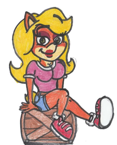 tawna bandicoot by captainquack64 on deviantart