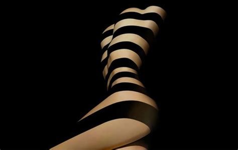 Zebras Nude Photos From Francis Giacobetti Slightly NSFW 5 Things