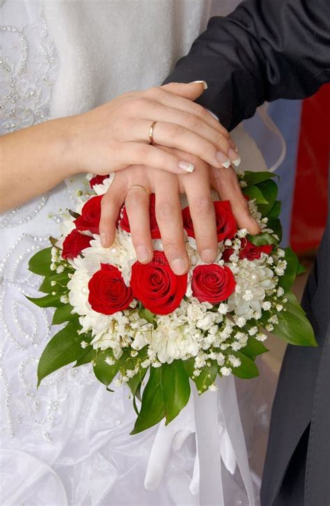 Wedding Couple Showing Rings Stock Photo Image Of Groom Marry 42340988