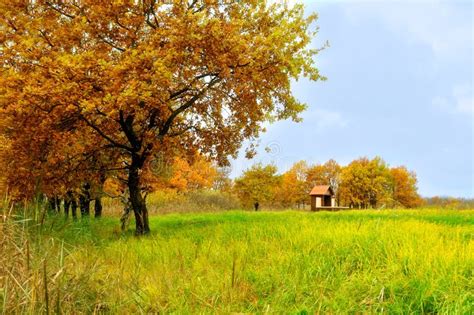 Lonely Small House In The Autumn Forest Autumn Landscape Stock Photo