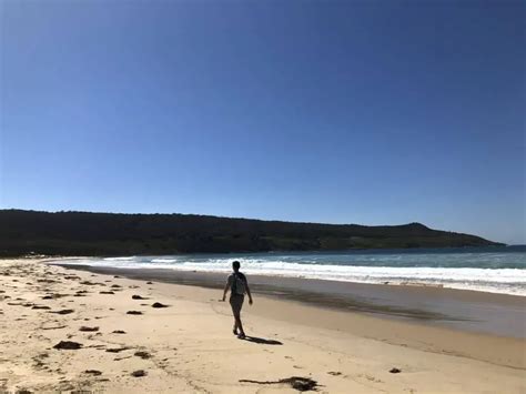 Cape Queen Elizabeth Track The Best Bruny Island Walk