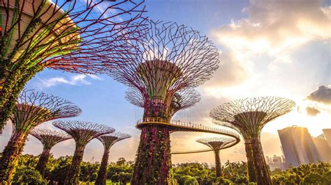 Descubre Los Jardines Verticales Más Impresionantes De Singapur