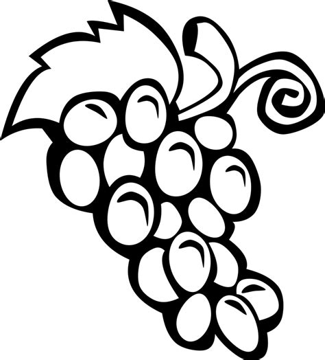 Free Grapes Pictures Download Free Grapes Pictures Png Images Free