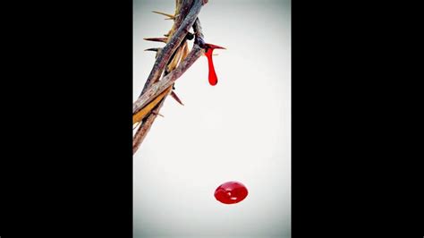 la sangre de cristo nos limpia de todo pecado youtube