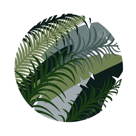 Tropical Palm Leaves Vector Art Png Round Tropical Background With