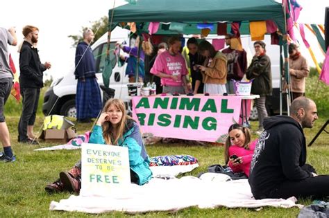 Police Arrest 19 Animal Rights Activists Ahead Of Epsom Derby Planned