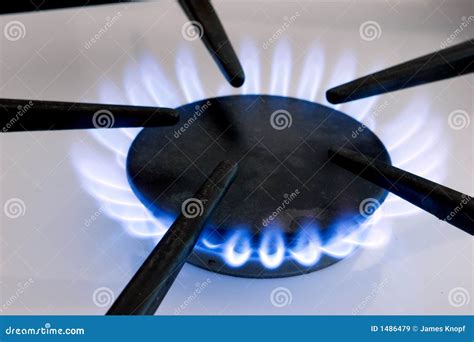 Gas Stove Flame Stock Image Image Of Stovetop Cooking 1486479