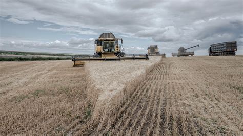 Russia Agrees To Let Ukraine Ship Grain Easing World Food Shortage