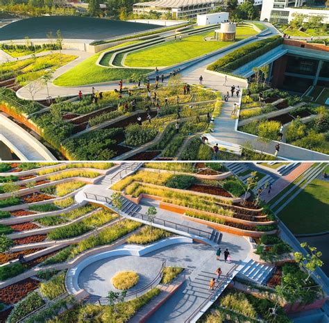 An Impressive Urban Farm Has Been Created On This Buildings Rooftop