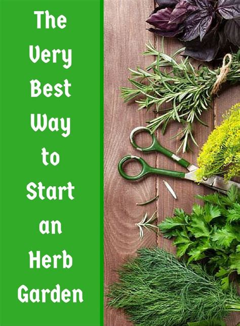 How To Grow Your Own Herbs For Cooking Herbs Herb Garden Vertical