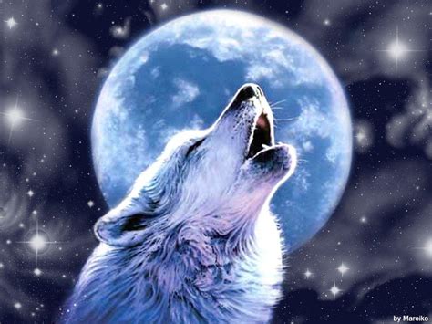 Wolves Howling Wallpapers Wallpaper Cave