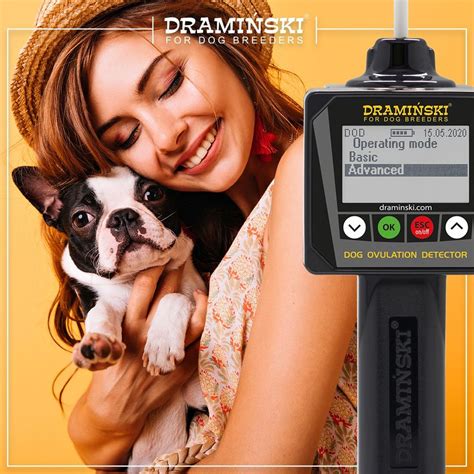 It is important to carefully disinfect the probe before making a measurement. Livestock Pregnancy Scanning - Posts | Facebook