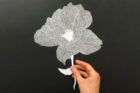 Maude White Paper Art Ineedit