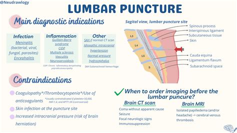Lumbar Puncture Indications Infection Inflammation Grepmed