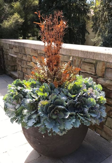 Fall Container Arrangements Deborah Silver And Co