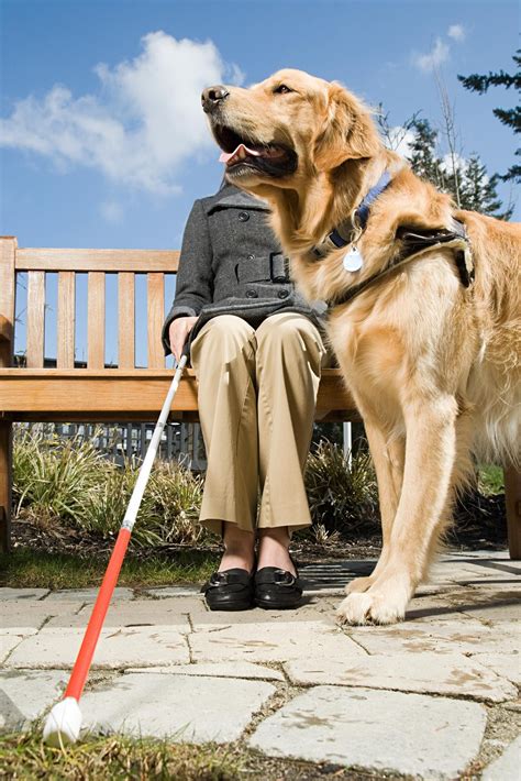 Blind And Dog Ada Solutions Tactile Warning Surfaces