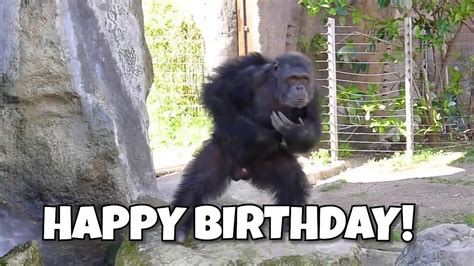 Monkey Singing Happy Birthday Monkey Singing Happy Birthday Youtube
