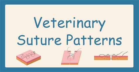 Patrones De Sutura Veterinaria I Love Veterinary