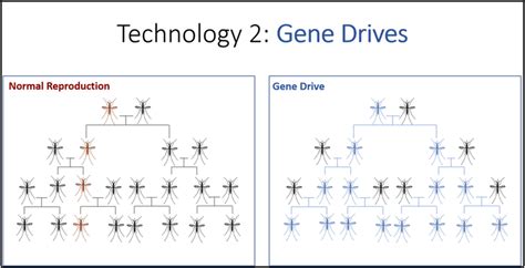 Illustration Of Gene Drive From Slideshow 2 Download Scientific Diagram