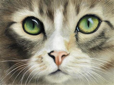 Cat Eyes By Heather A Mitchell Colored Pencil ~ 11 X 14 Color Pencil Art Color Pencil