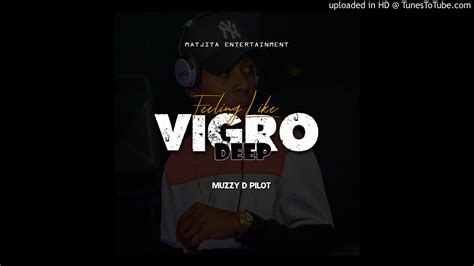 Muzzy D Pilot Feeling Like Vigro Deep Amapiano Mix Youtube