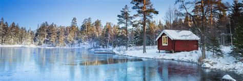 Snowy Swedish Forest