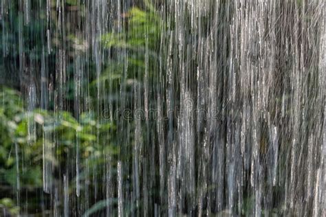 Heavy Downpour Of Rain In Tropical Forest Stock Photo Image Of Asia