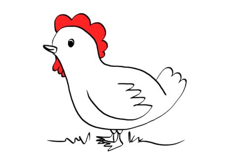 Mewarnai Gambar Ayam Bertelur Kartun Anak Sekolah Imagesee
