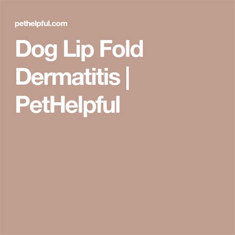 Dog Lip Fold Dermatitis Causes Symptoms And Remedies Dermatitis